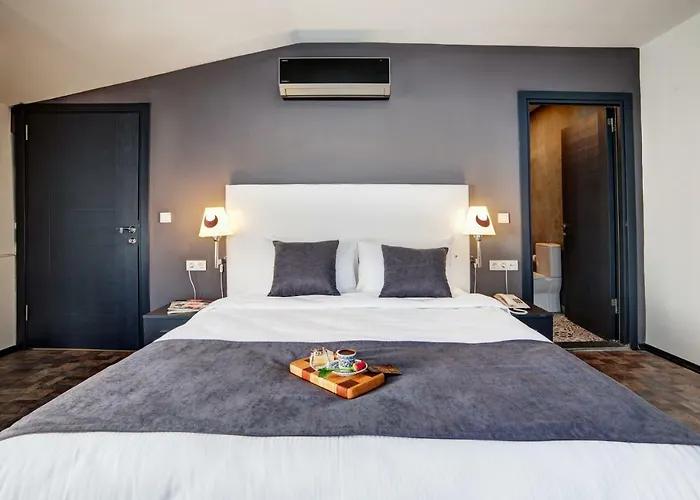 住宿加早餐酒店 Lime Garden