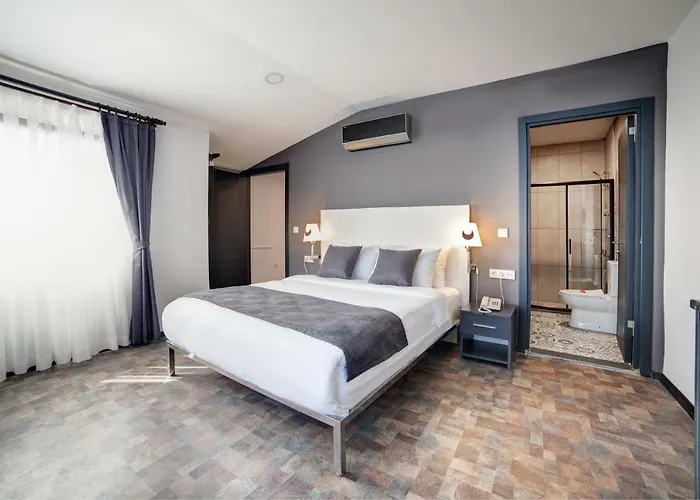 住宿加早餐酒店 Lime Garden 伊斯坦布尔